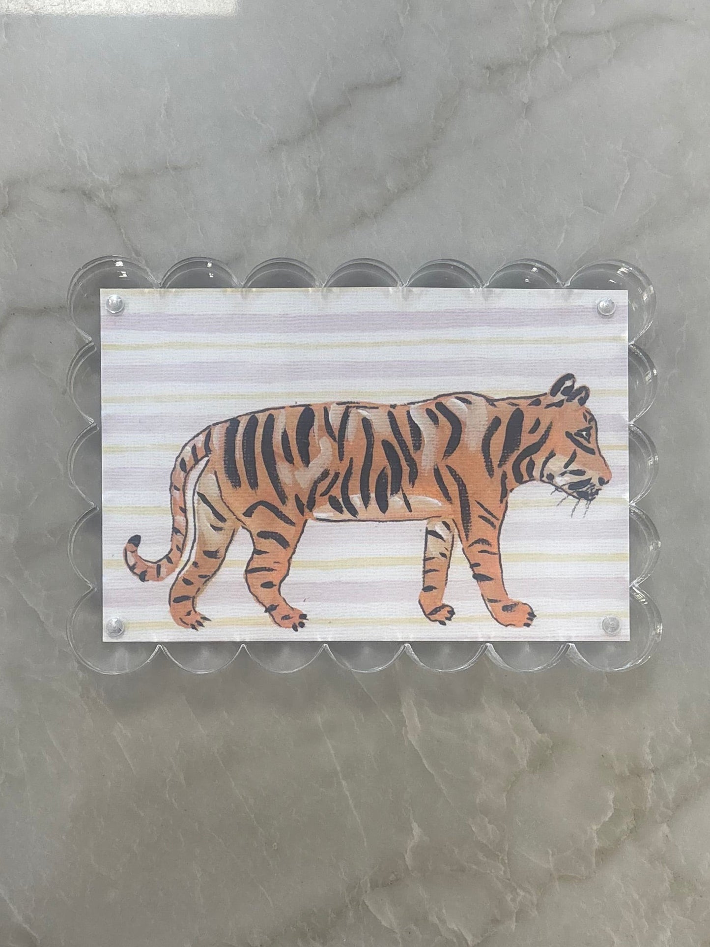 MBM Scallop Tiger Acrylic Blocks