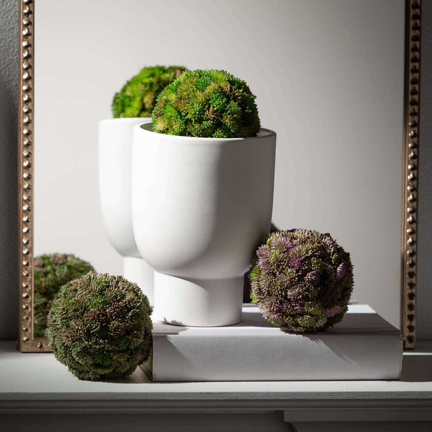 COLORFUL SEDUM ORB SET OF 3