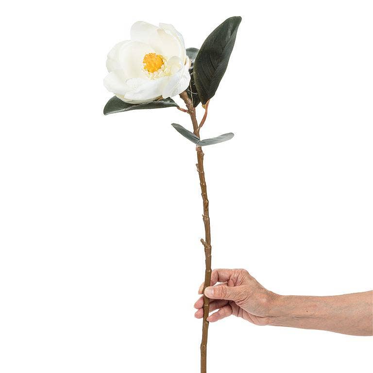 Medium Magnolia Bloom-White-29"L