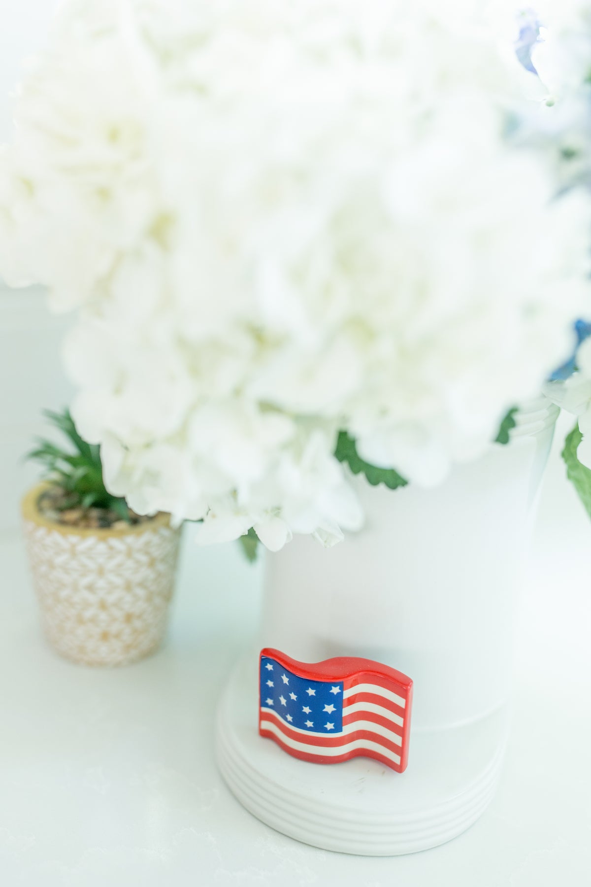 Stars and Stripes Forever Mini
