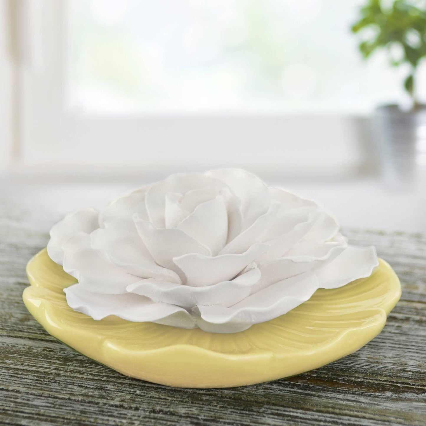 Sunshine Plate - Ceramic Flower Diffuser