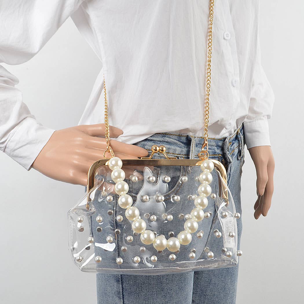 Clear Mini Purse Clutch