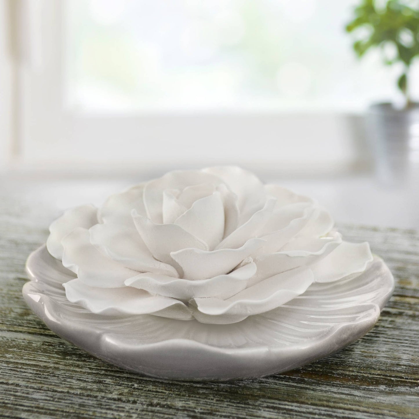 White Plate - Ceramic Flower Diffuser