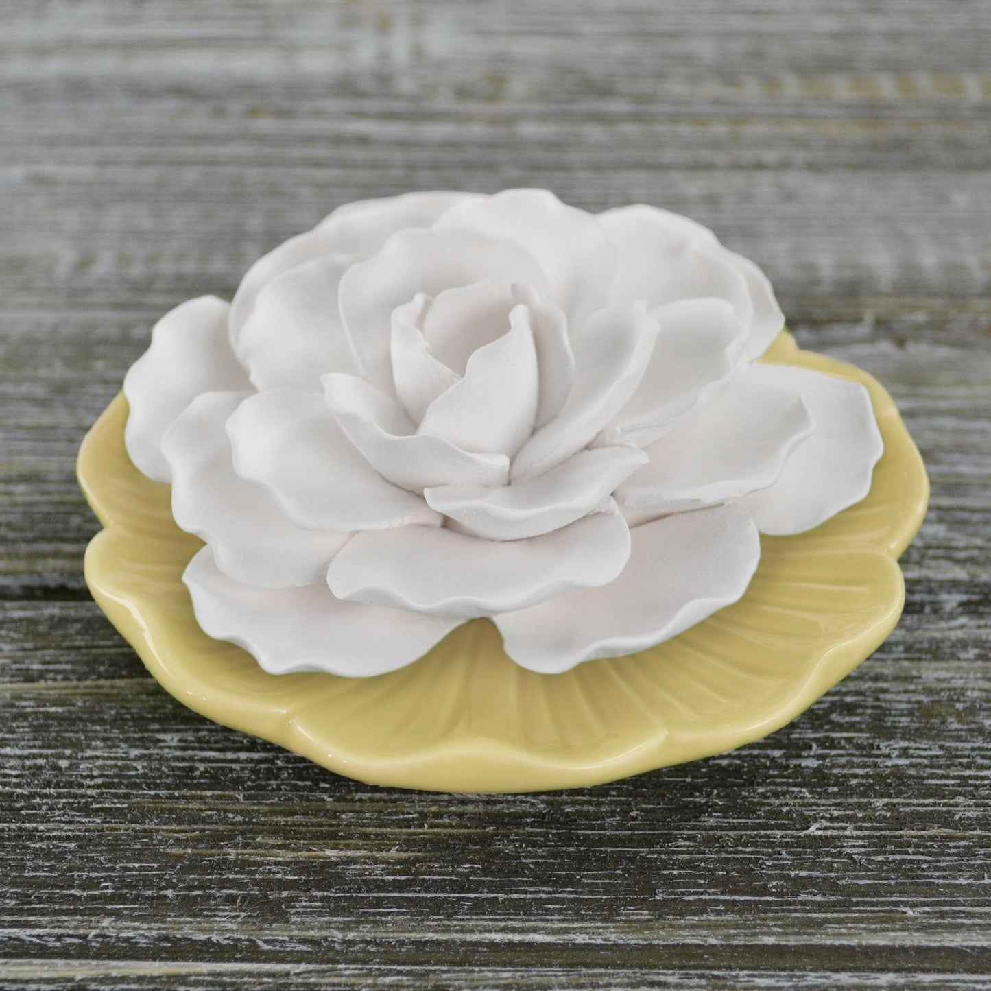 Sunshine Plate - Ceramic Flower Diffuser