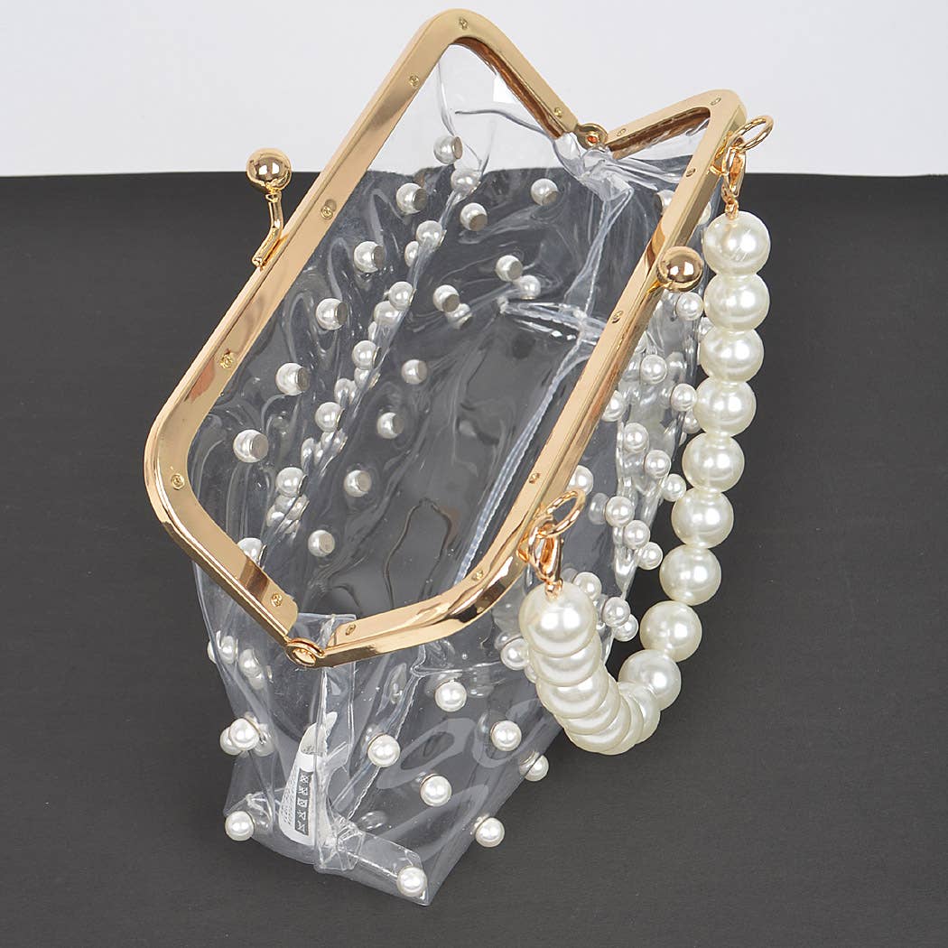 Clear Mini Purse Clutch