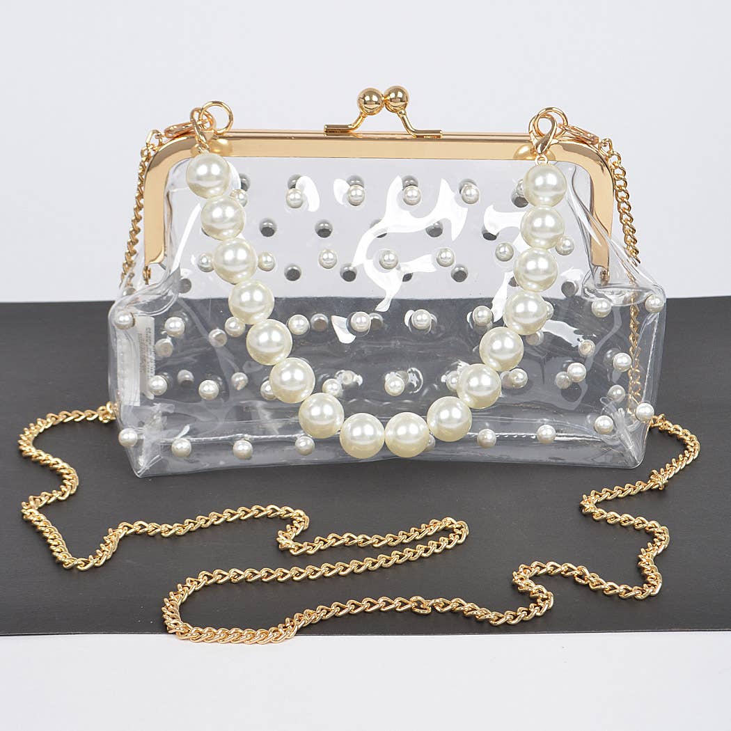 Clear Mini Purse Clutch