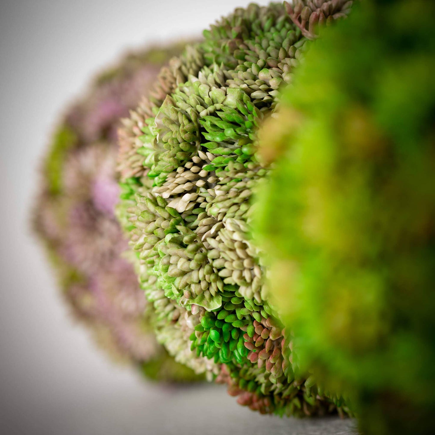 COLORFUL SEDUM ORB SET OF 3