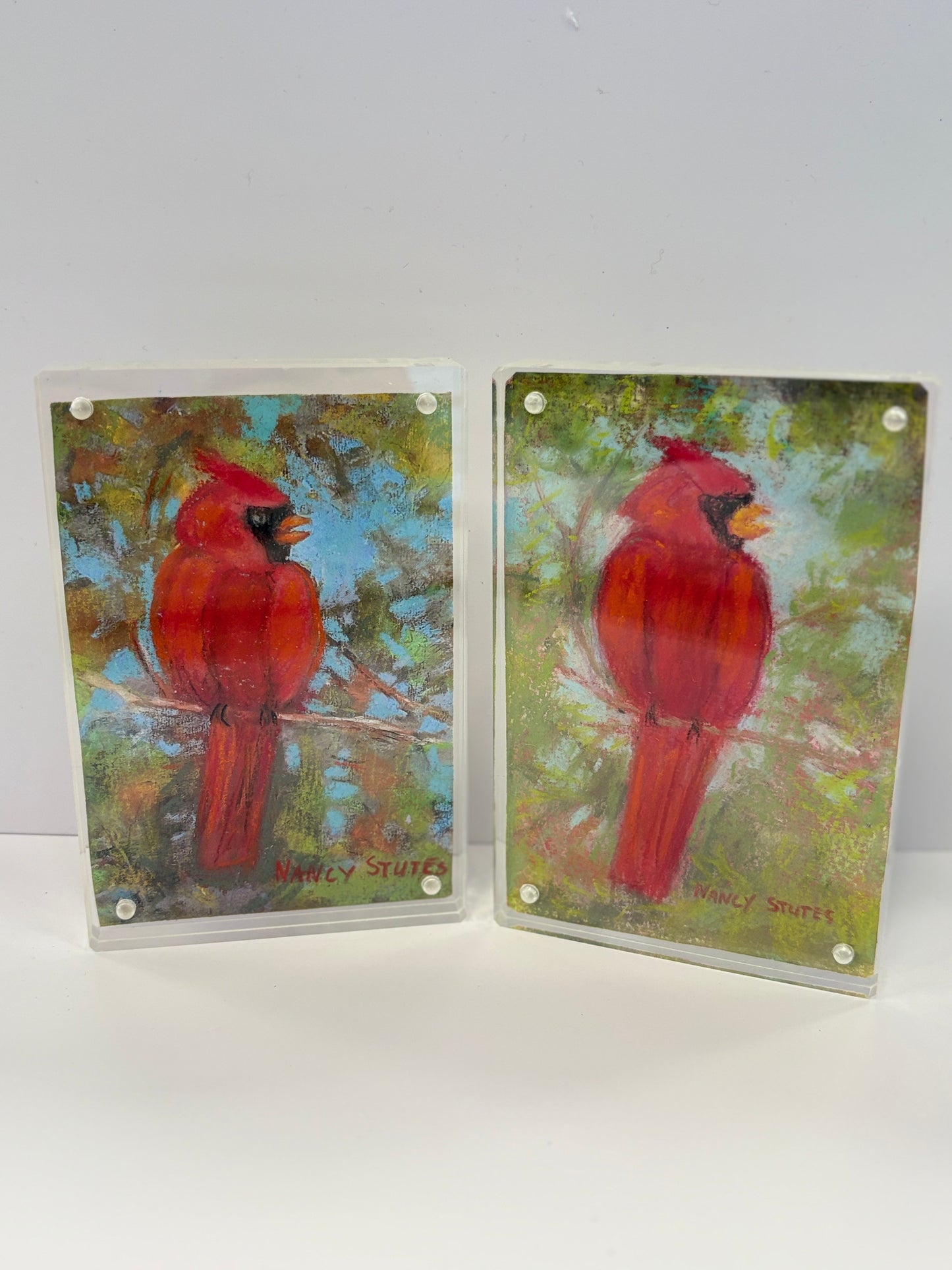 NSA “Cardinal” 4x6 $48