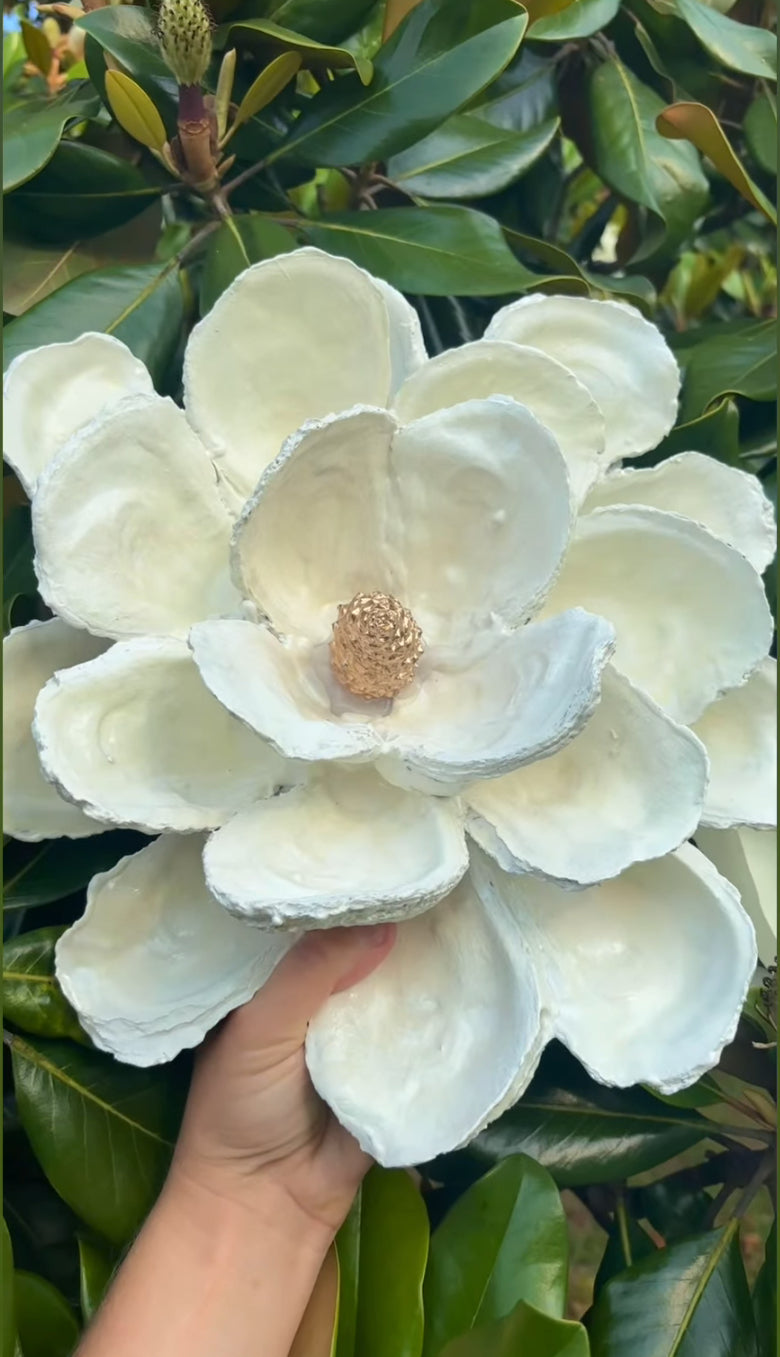 ED Oyster shell Magnolia