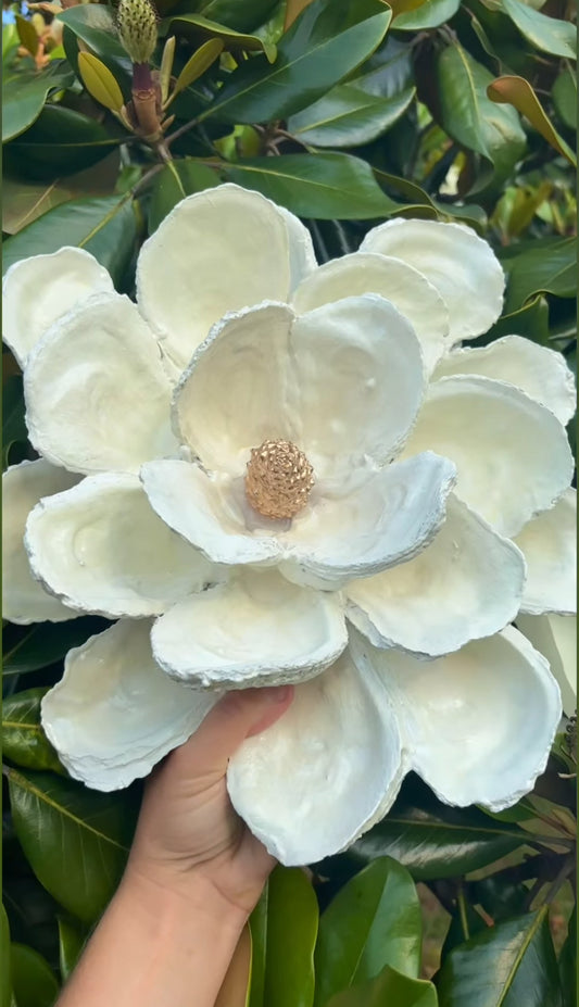 ED Oyster shell Magnolia