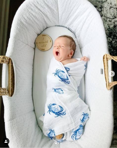 Blue Crab Swaddle