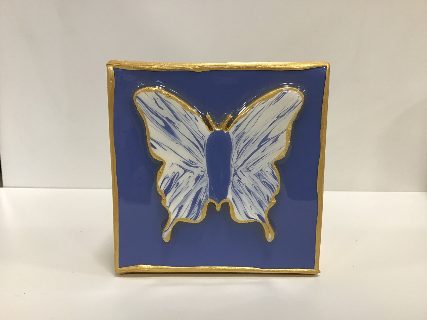 Butterfly 4x4 Canvas