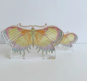 KMK March Butterfly Acrylic