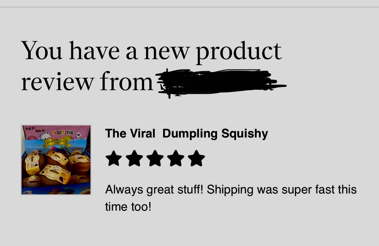 The Viral Mystery  Dumpling Squishy 