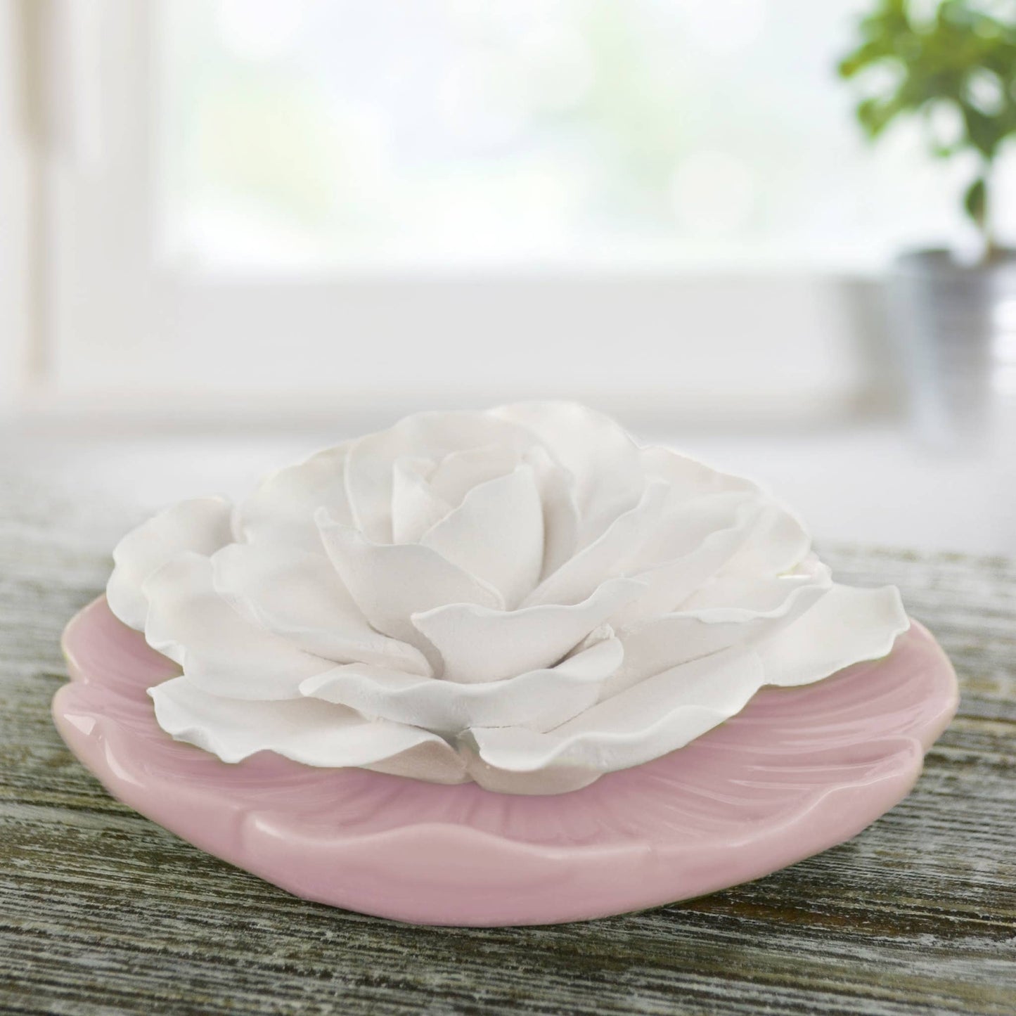 Blush Pink Plate - Ceramic Flower Diffuser